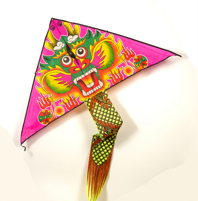 Pink Dragon Kite Toys Kites