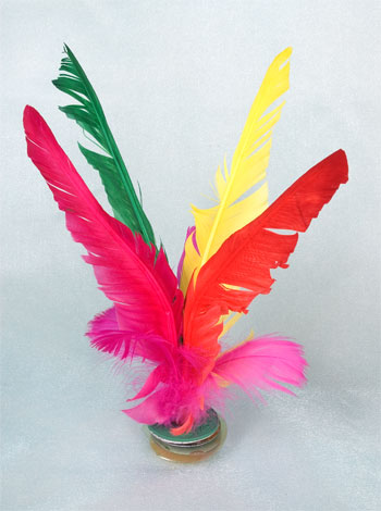 Chinese shuttlecock shop