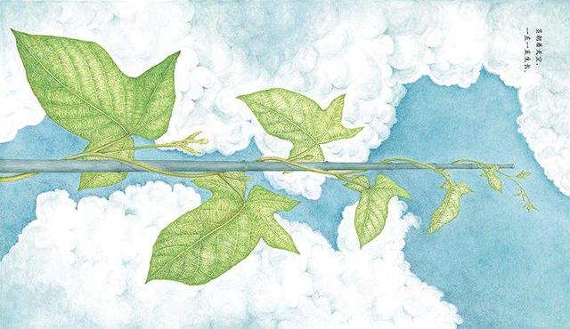 The Journey of Seeds by Soo-Book Choi The Journey of Seeds by Soo-Book Choi