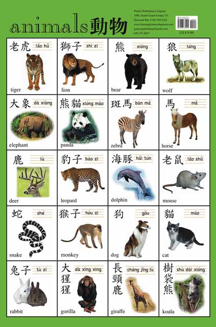 Chinese Characters Posters (Traditional) Part 1 | Chinese Books | Learn