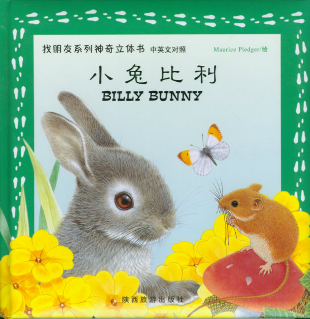 4 Happy Snappy Bilingual Pop-Up Books - Playtime, Chinese Books, Storybooks, Bilingual Storybooks