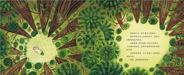 The Tree Lady | Chinese Books | Story Books | Western Books