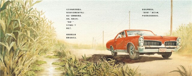 Watercress | Chinese Books | Story Books | Western Books in