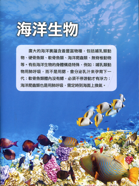 Animal Illustration  Chinese Books  Story Books  Science  ISBN