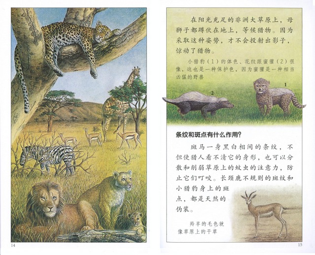 Science Pocket Books (40 Books)  Chinese Books  Story Books  Science