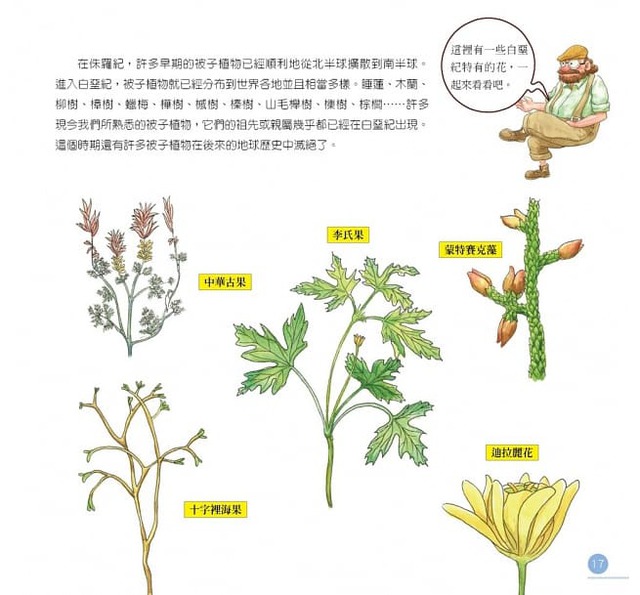 My First Plant Evolution Atlas Chinese Books Story Books Science Isbn My First Plant Evolution Atlas Chinese Books Story Books Science Isbn