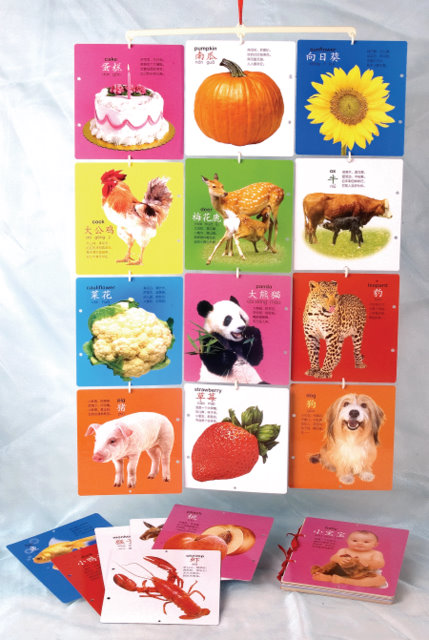 Chinese Flash Cards Wall Hanging Chinese Books Learn Chinese 