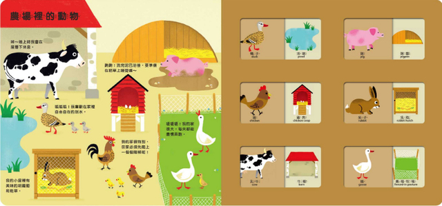 Guess What Series | Chinese Books | Story Books | Western Books in Chinese | ISBN 9789578930650