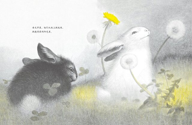 The Rabbits' Wedding | Chinese Books | Story Books | Western Books in ...