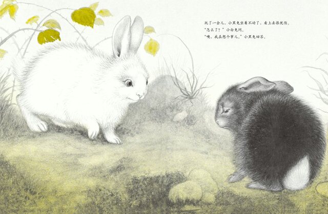 The Rabbits' Wedding | Chinese Books | Story Books | Western Books in ...