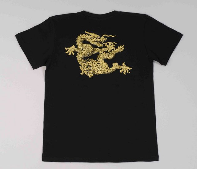 Dragon T-shirt for Adults | Chinese Apparel | Adult T-Shirt | ISBN ...